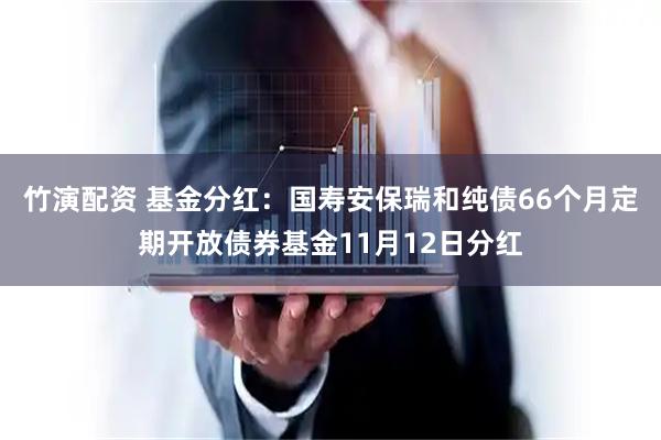 竹演配资 基金分红：国寿安保瑞和纯债66个月定期开放债券基金11月12日分红